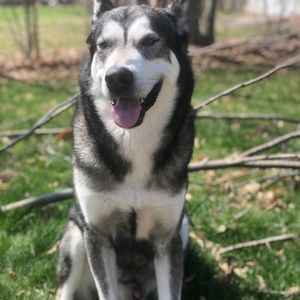 Meet your Posher, Gianna